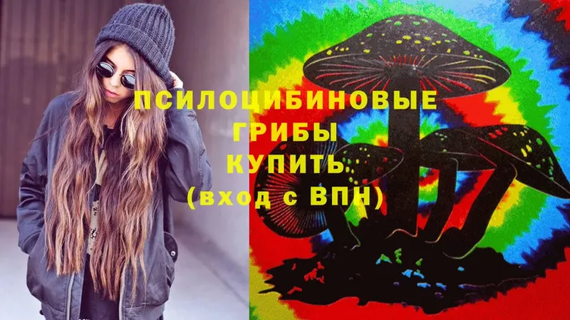 Псилоцибиновые грибы Psilocybe  Курлово 